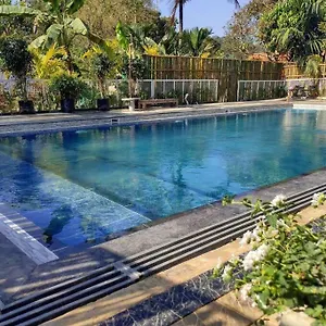 Villa Ibiza Wonderland , Wayanad, Meppadi