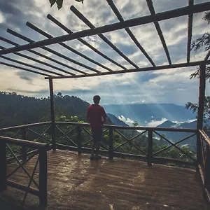 Resort After The Rains - Rainforest, Meppadi