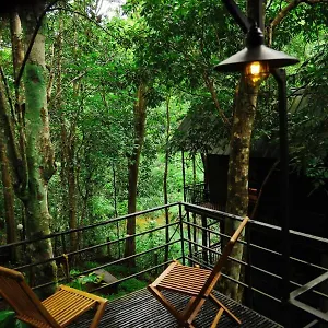 Resort Ranches Jungle Beats, Meppadi